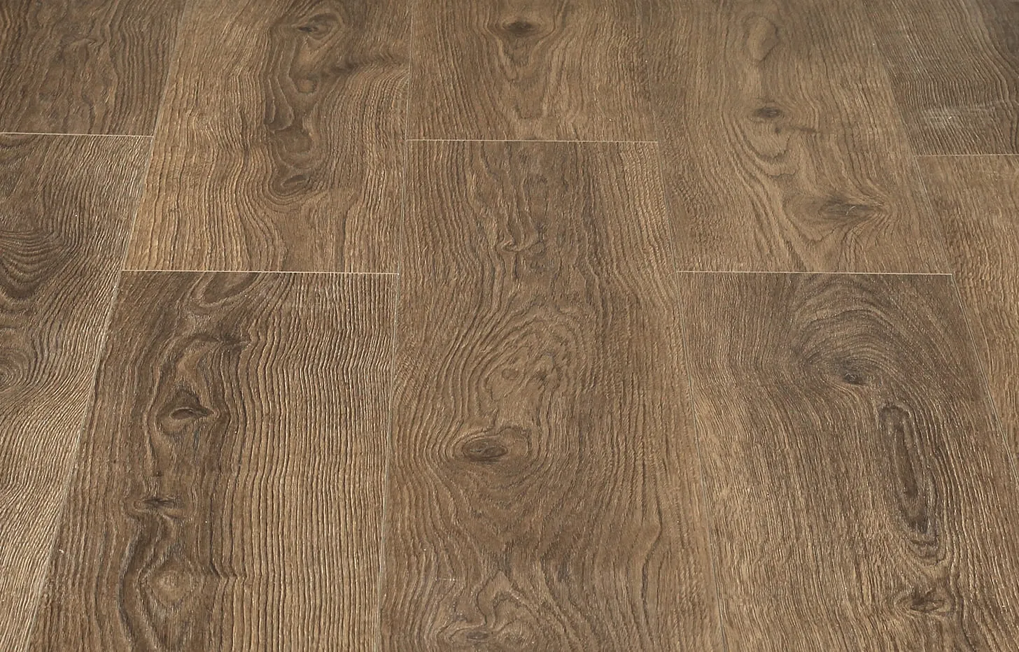 Дуб Тихий вечер